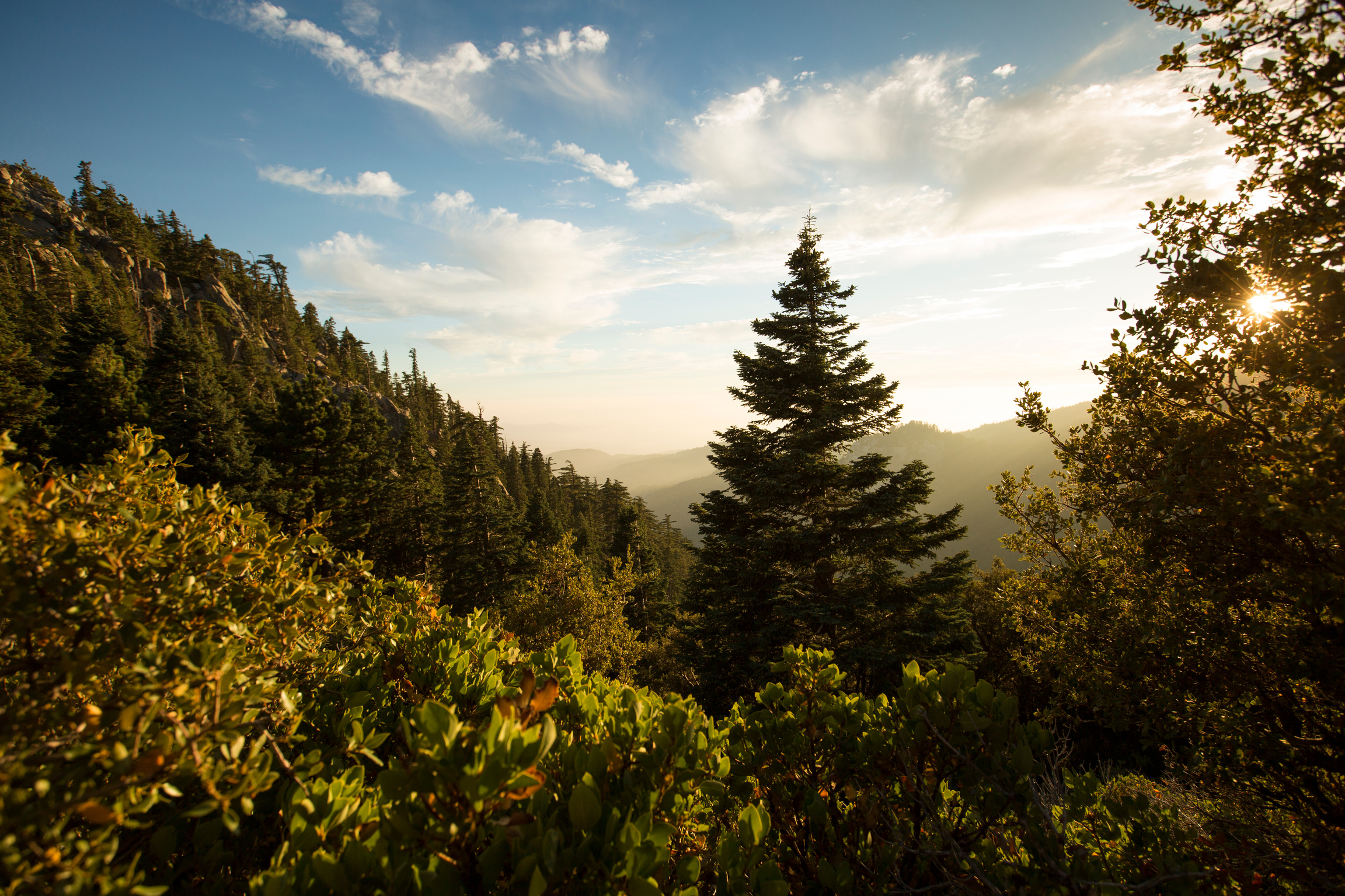 San Jacinto Mountains